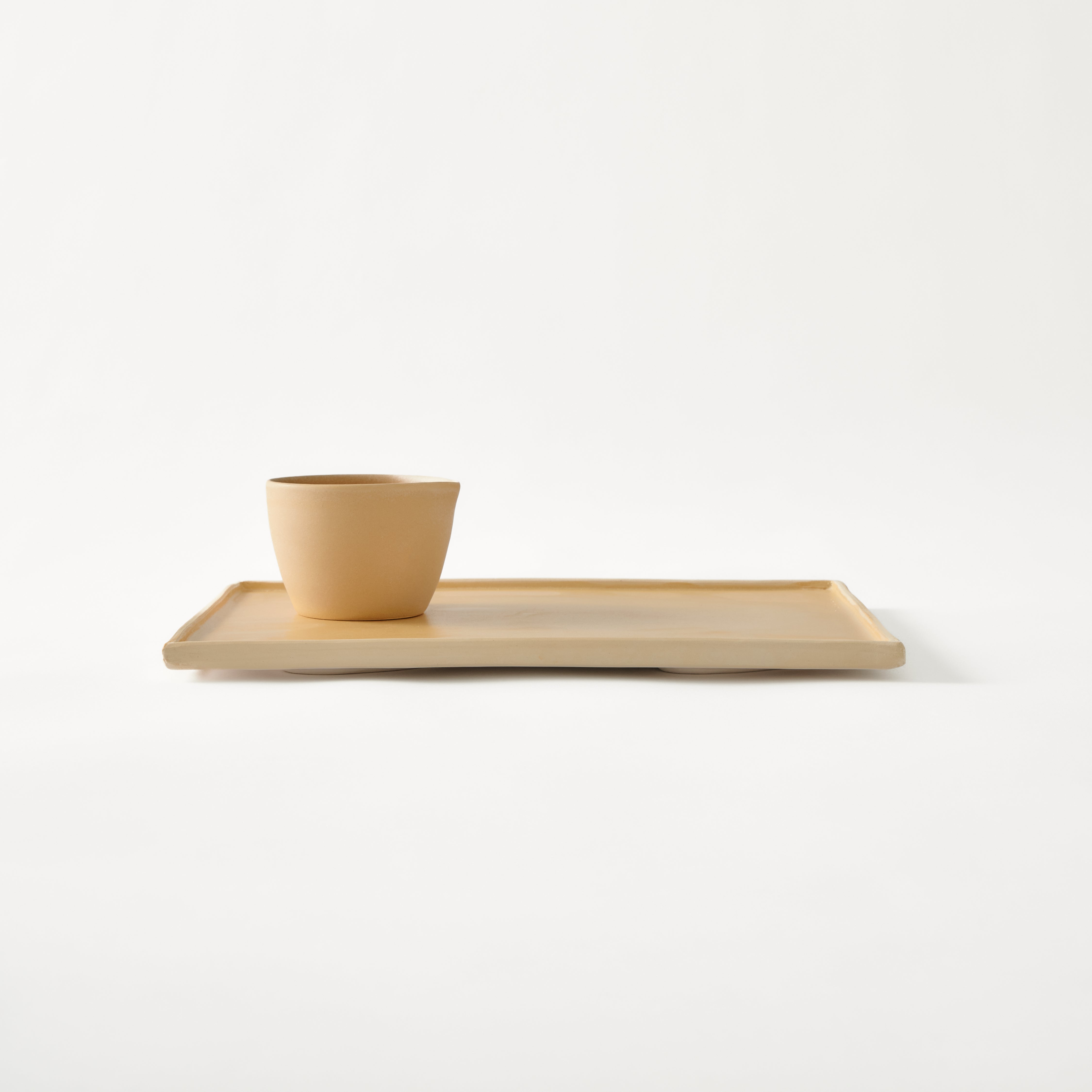 Tray